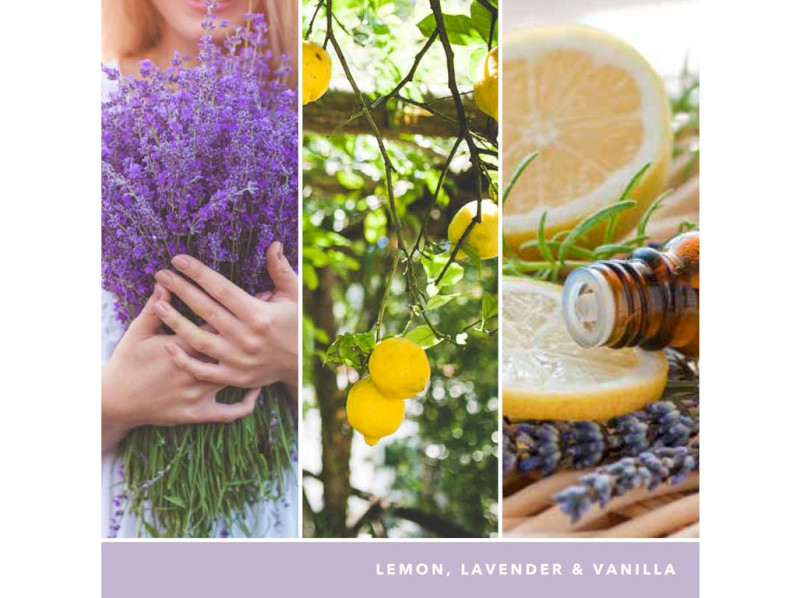 40749-lemon lavender - kopie (6)
